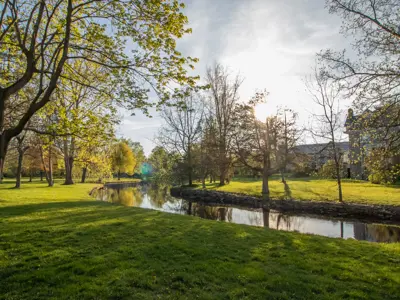 Grassy area in park with multiple large trees and river running through the centre