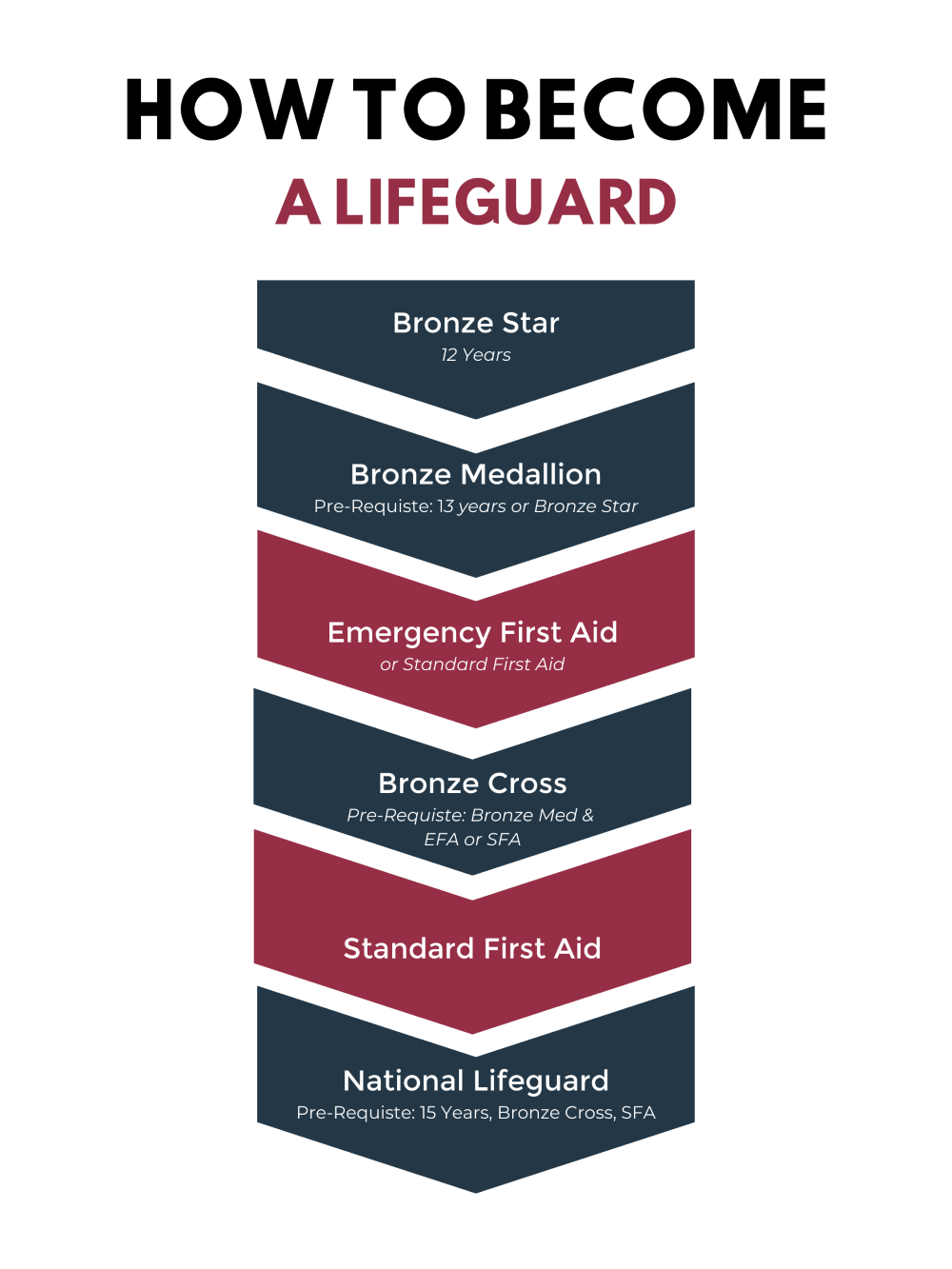 Graphic showing the stages to become a Lifeguard